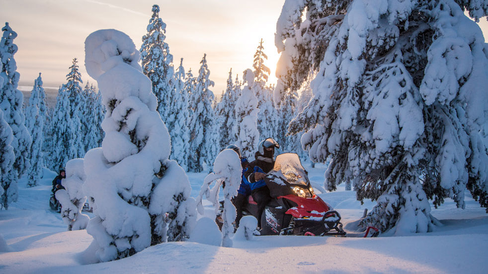 Lapland adventure riding on a snowmobile